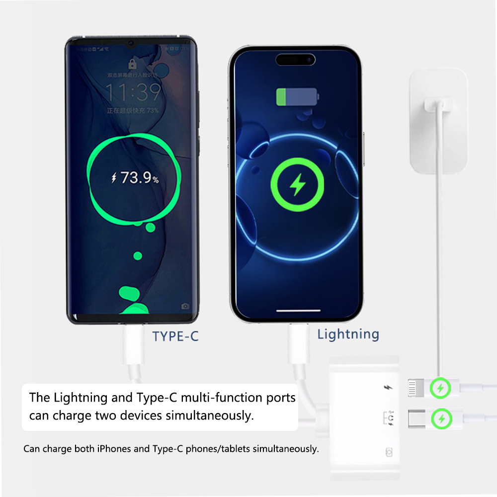 2-in-1 Lightning Typ C auf USB – Wired Earphone Lightning Bewertung und Preis