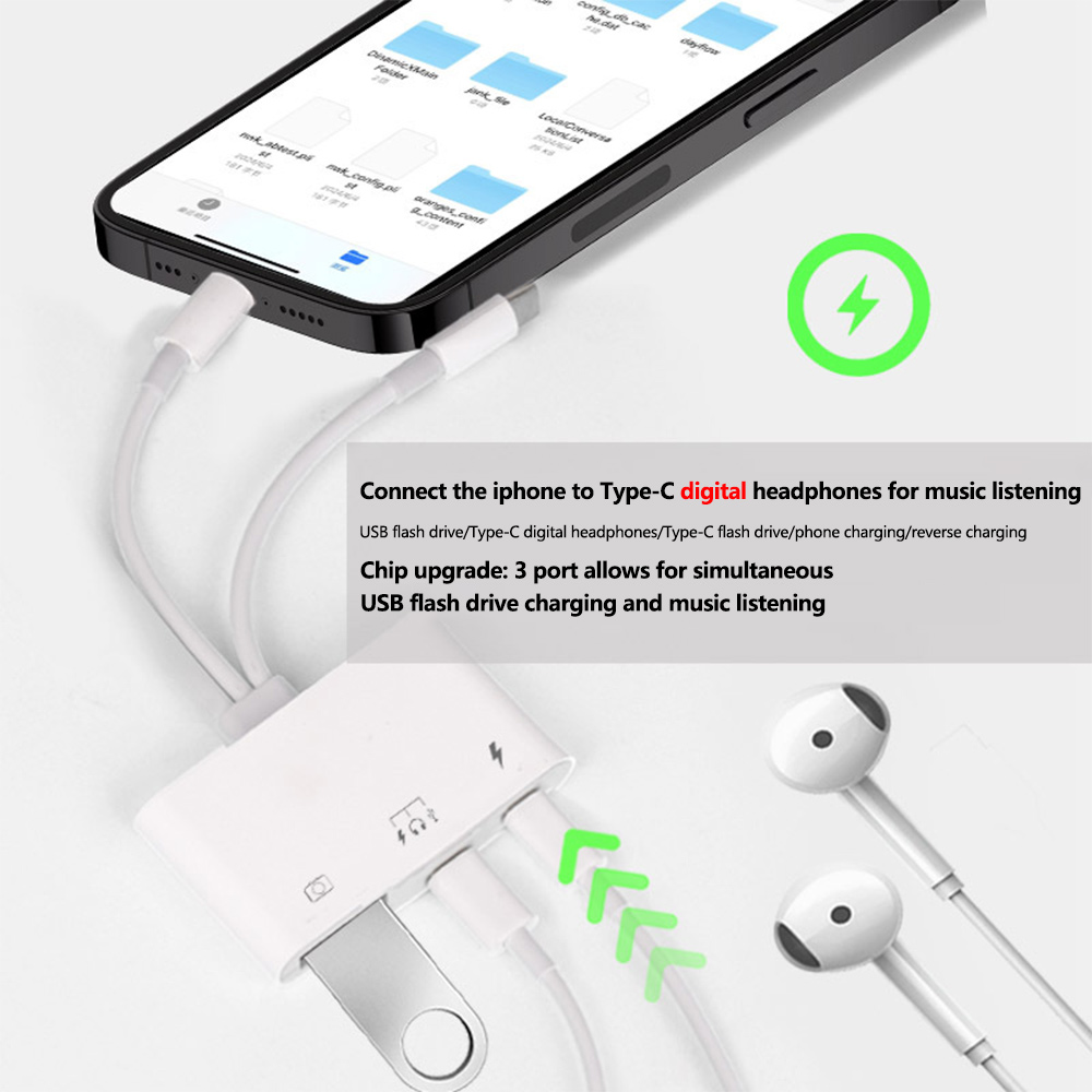 2-in-1 Lightning Typ C auf USB – Wired Earphone Lightning Bewertung und Preis